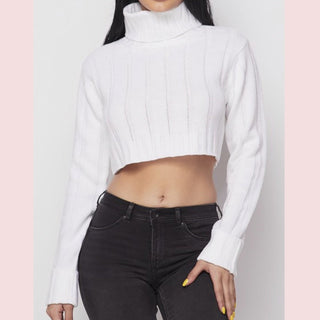 Wide Rib Turtle Neck Crop Top - Everything Girls Like Boutique